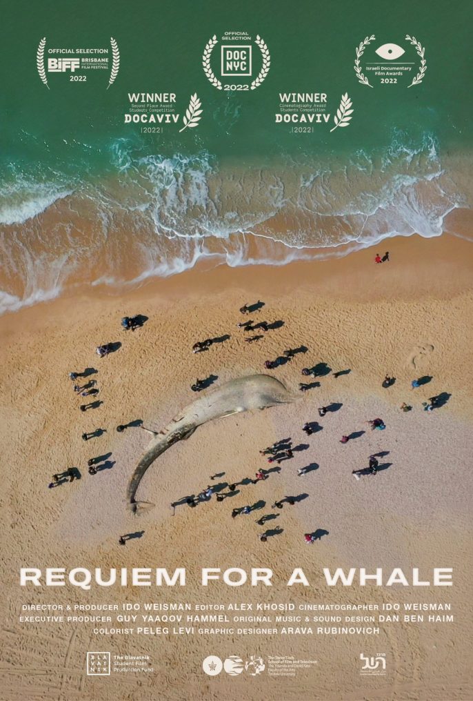 Requiem for a Whale